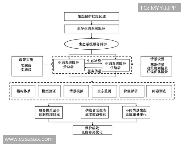 重庆网球队在比赛中的盯防策略分析与成效评估